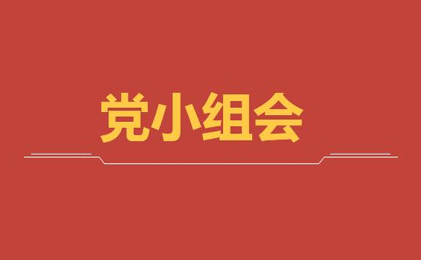 公司第二黨支部第一黨小組召開線上黨小組學(xué)習(xí)會(huì)議